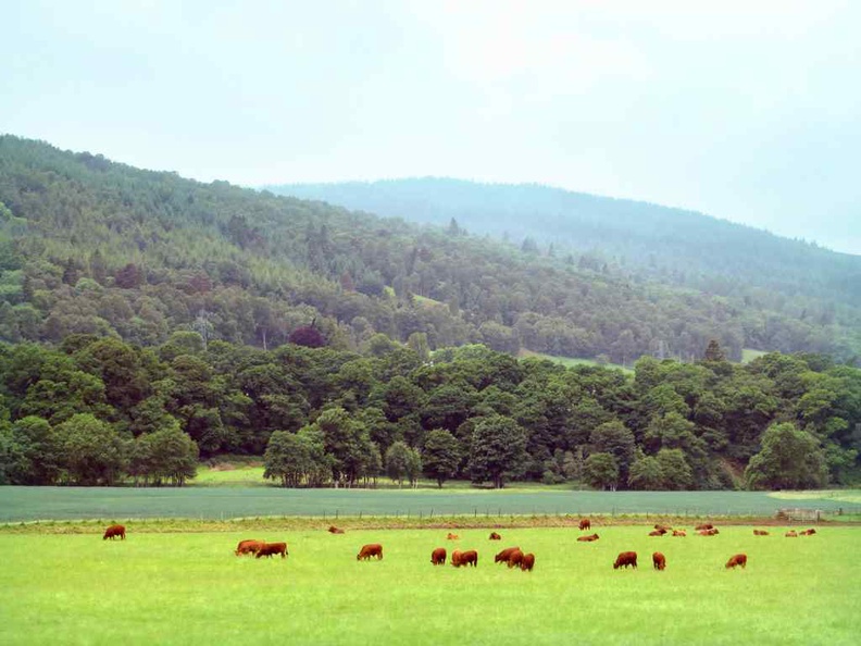 scotland-dunkeld-lochness-006