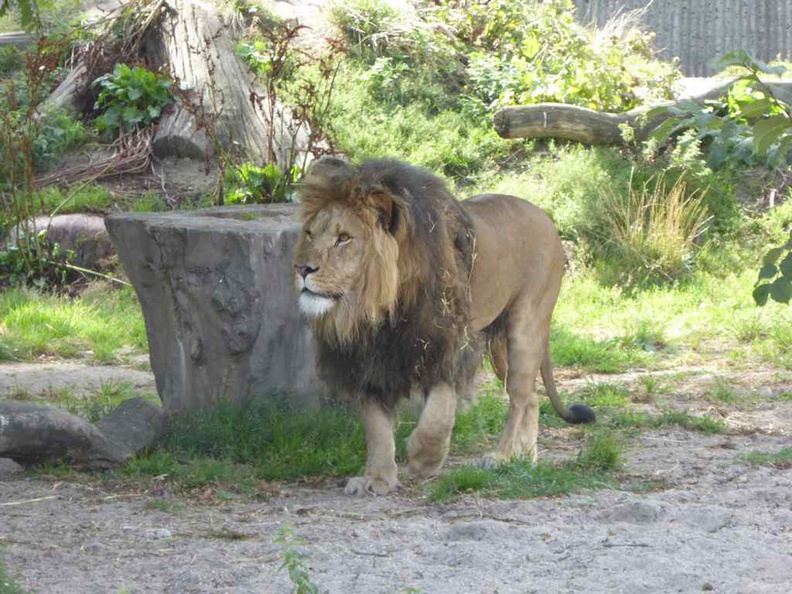 copenhagen-zoo-002