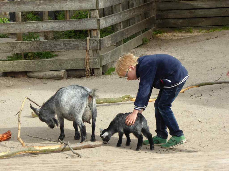 copenhagen-zoo-012