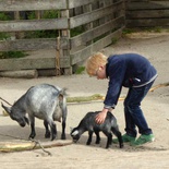 copenhagen-zoo-012