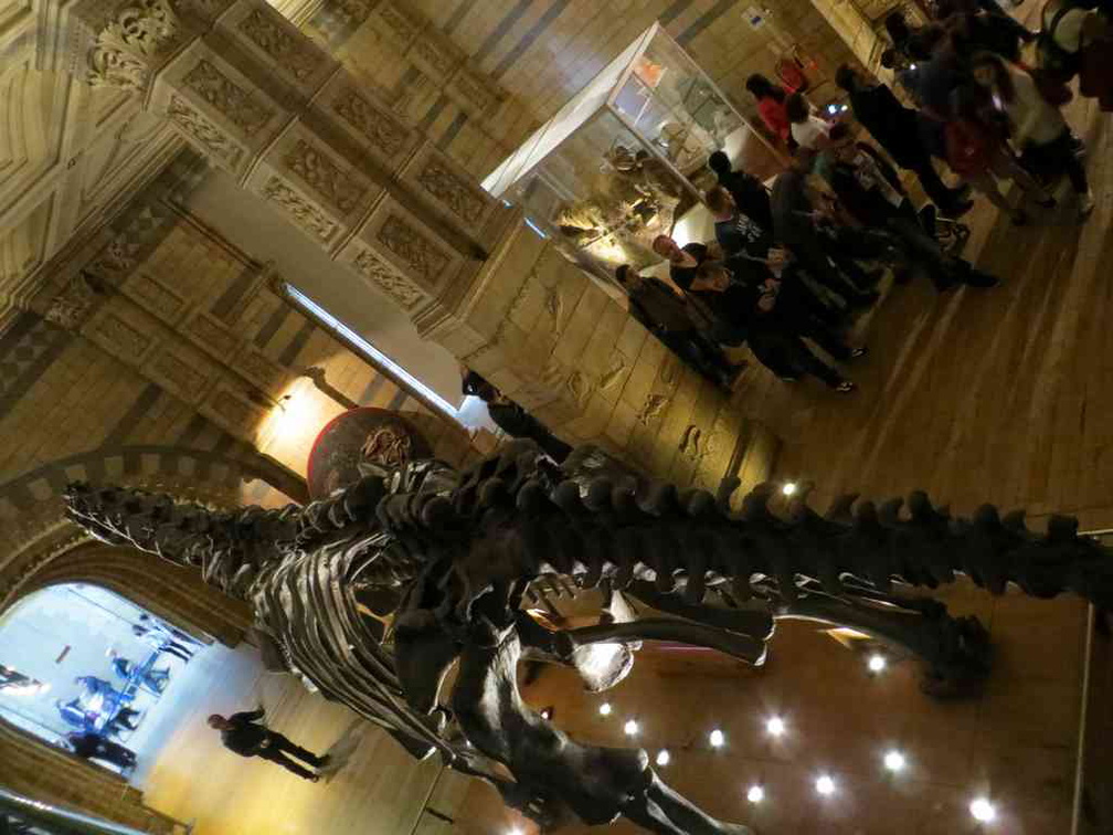 london-natural-history-museum-03