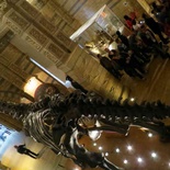 london-natural-history-museum-03