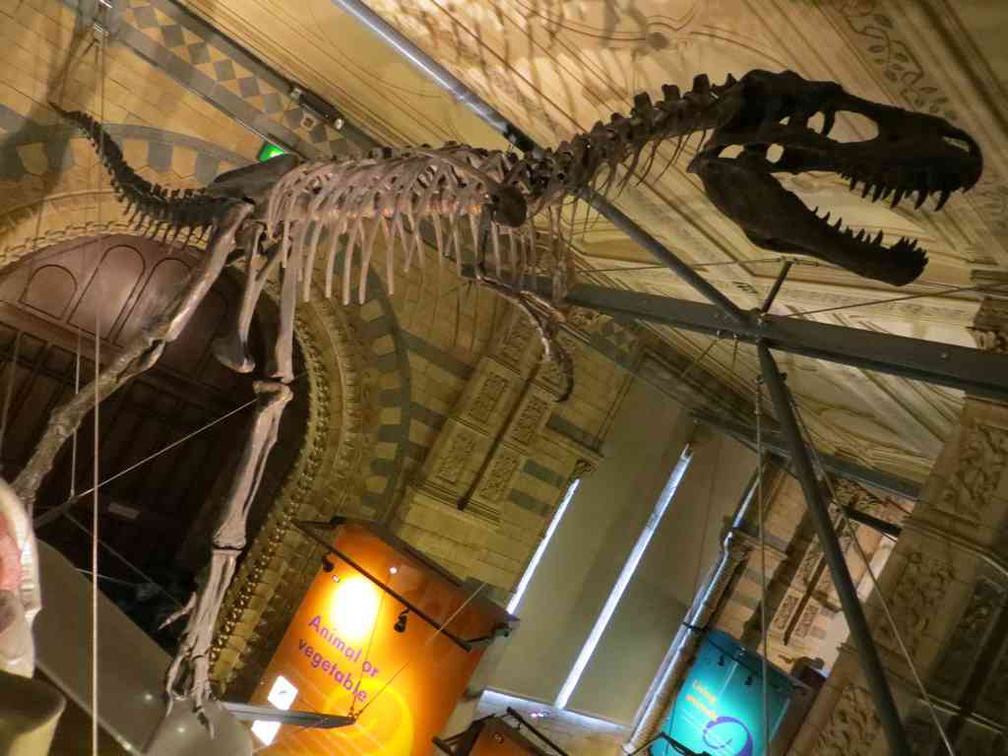 london-natural-history-museum-04