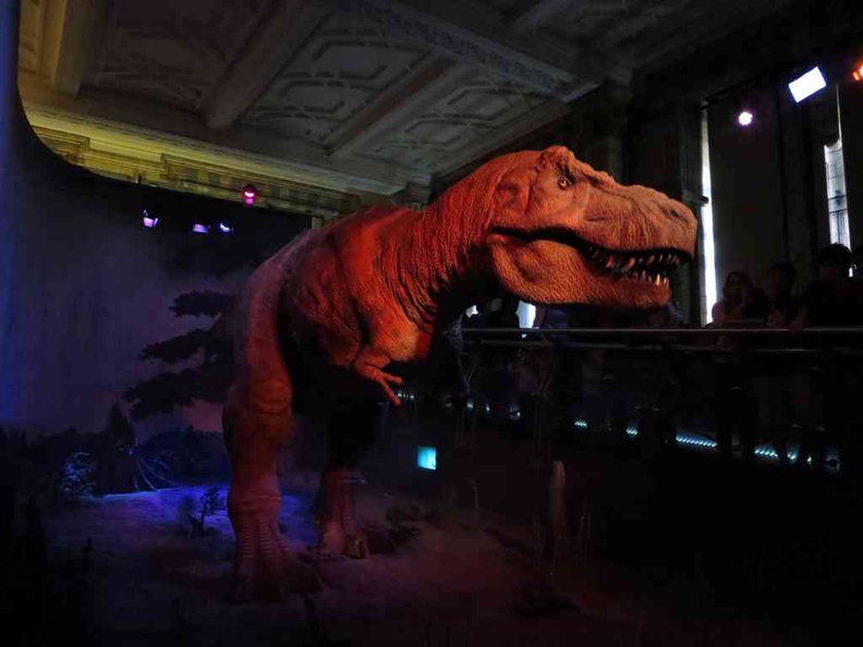 london-natural-history-museum-05
