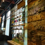 london-natural-history-museum-13