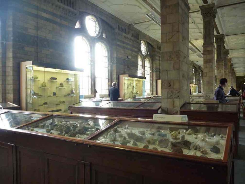 london-natural-history-museum-15