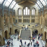 london-natural-history-museum-16