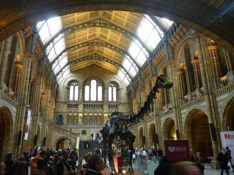 london-natural-history-museum-25