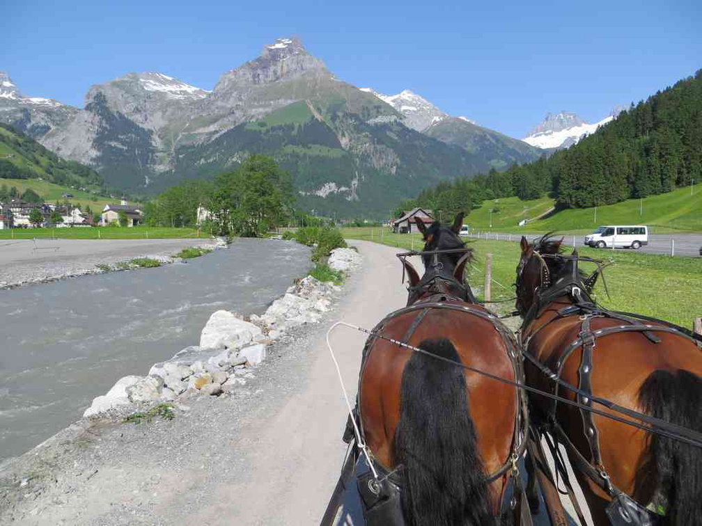 swiss-lucerne-horseride-21