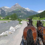 swiss-lucerne-horseride-21