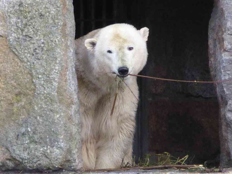 berlin-zoo-09.jpg