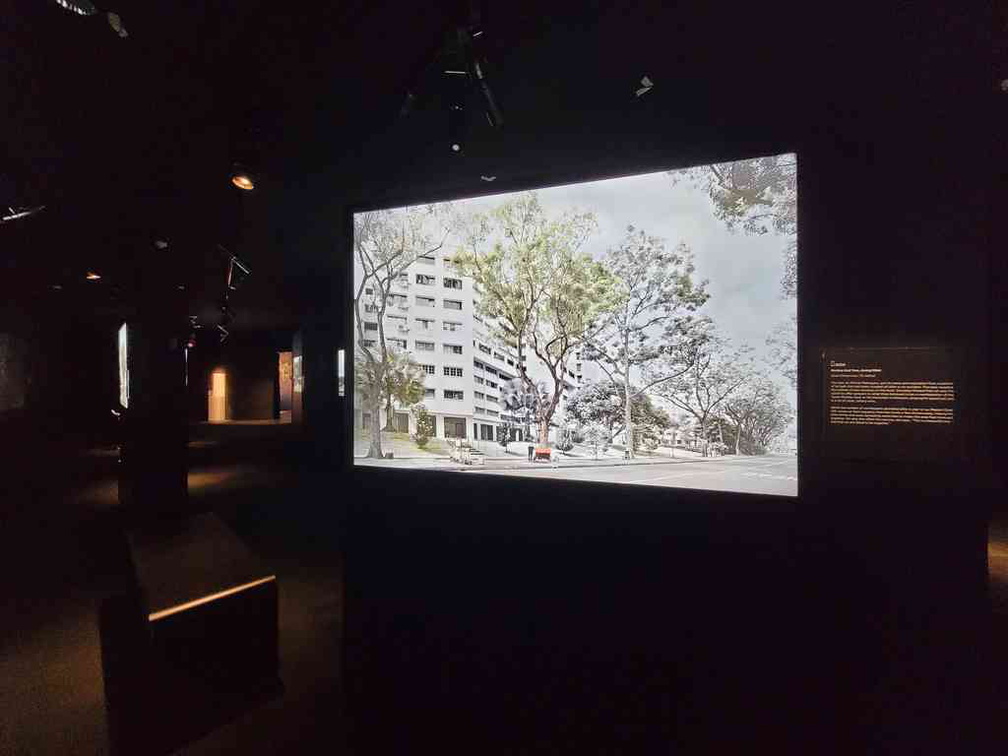 story-of-forest-rotunda-nature-exhibition-13