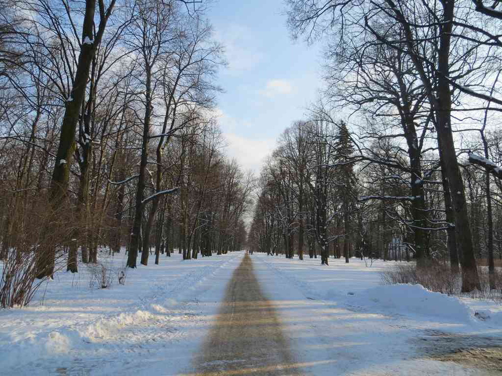 royal-kazienowski-park-poland-02