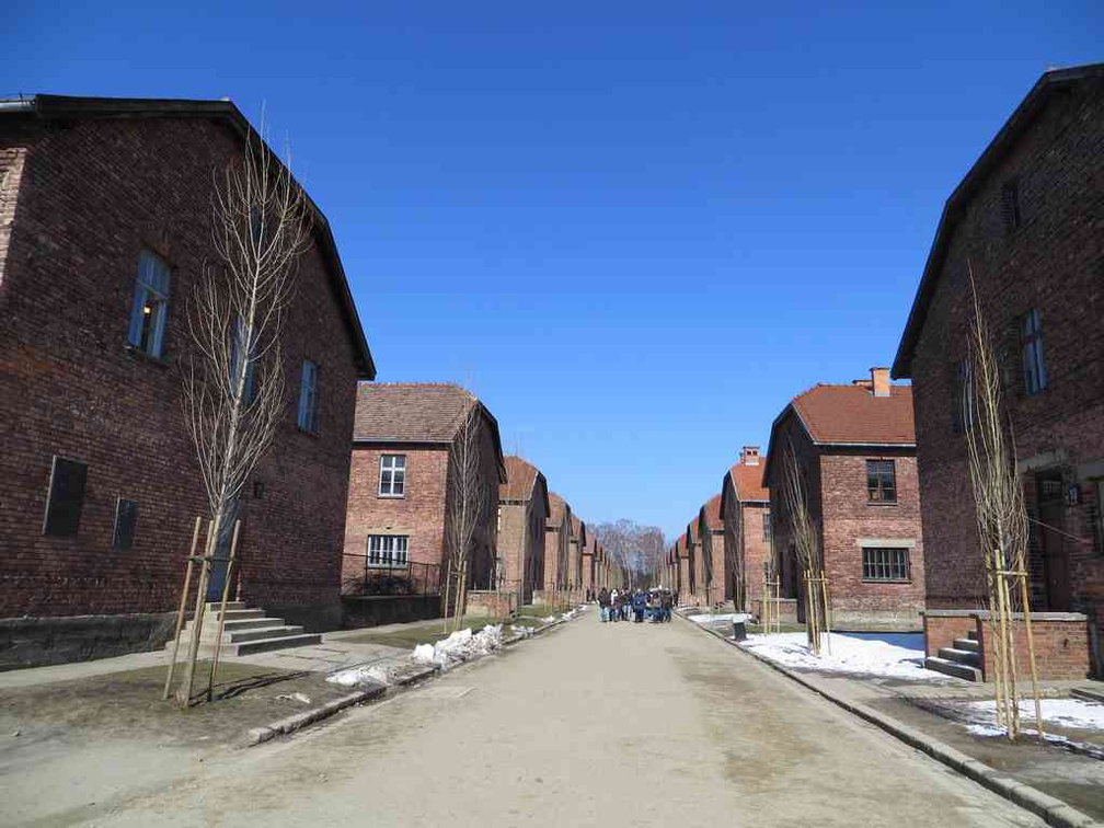 auschwitz-concentration-camp-20