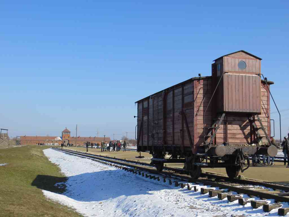 auschwitz-concentration-camp-35