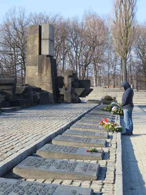 auschwitz-concentration-camp-41