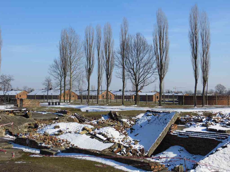 auschwitz-concentration-camp-42