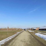 auschwitz-concentration-camp-43