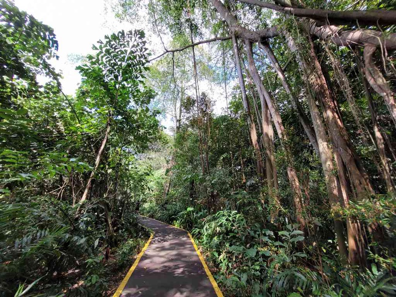 sungei-buloh-wetland-reserve-10