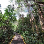 sungei-buloh-wetland-reserve-10