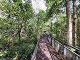 sungei-buloh-wetland-reserve-12