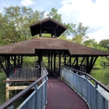 sungei-buloh-wetland-reserve-14