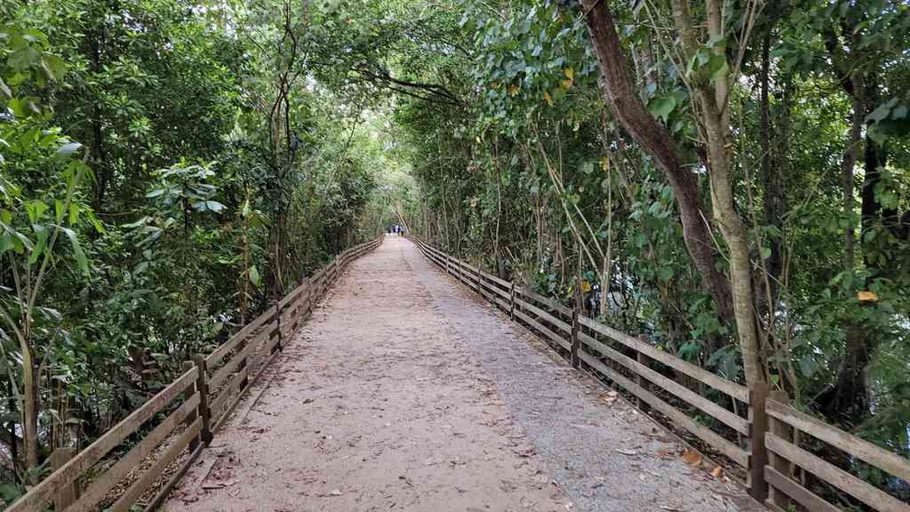 sungei-buloh-wetland-reserve-18