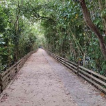 sungei-buloh-wetland-reserve-18