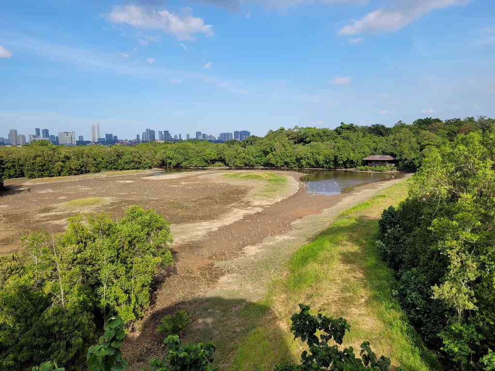 sungei-buloh-wetland-reserve-30