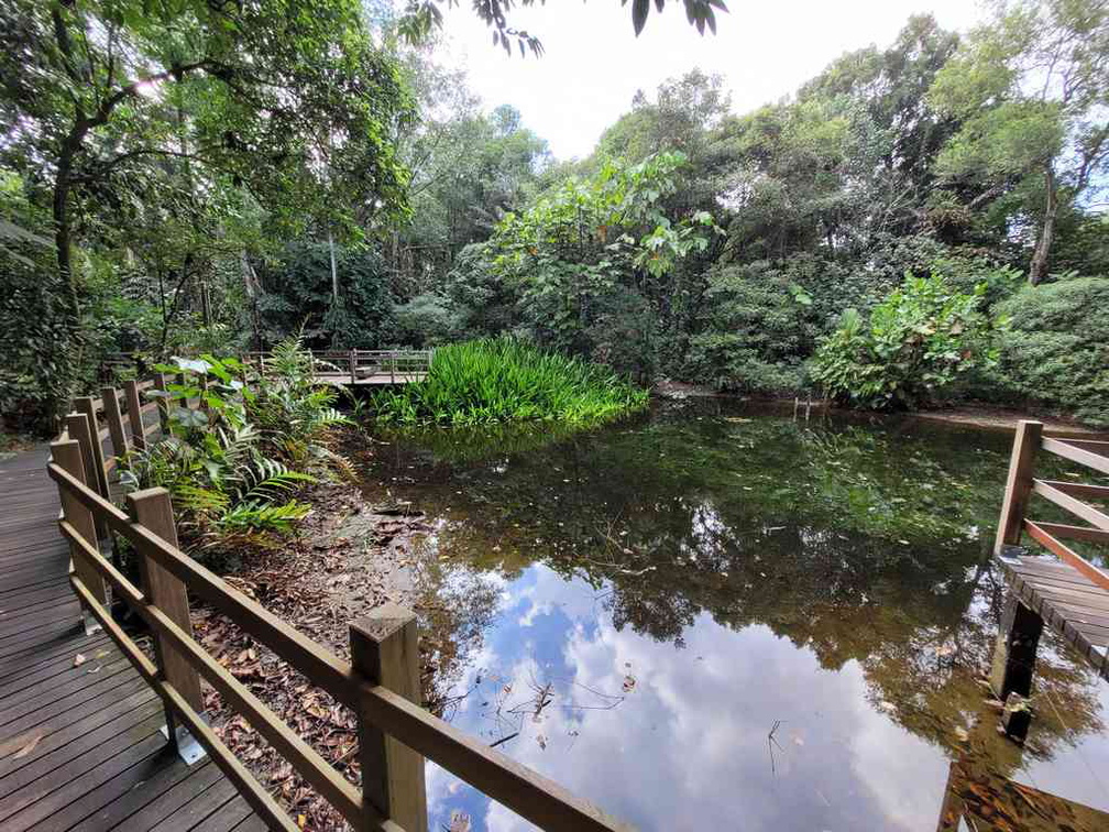 sungei-buloh-wetland-reserve-31