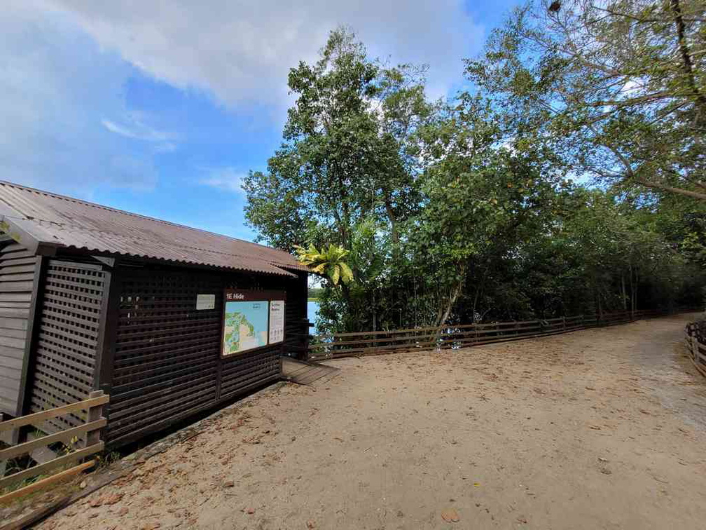 sungei-buloh-wetland-reserve-33