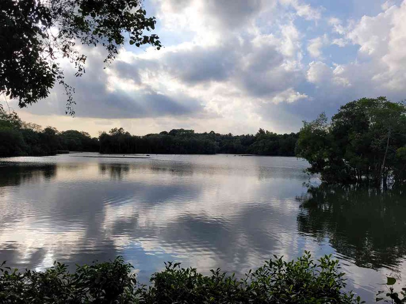 sungei-buloh-wetland-reserve-34.jpg