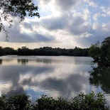 sungei-buloh-wetland-reserve-34