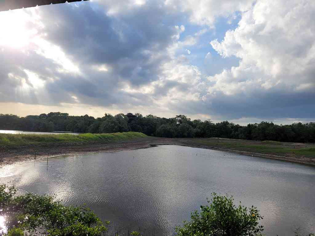 sungei-buloh-wetland-reserve-37