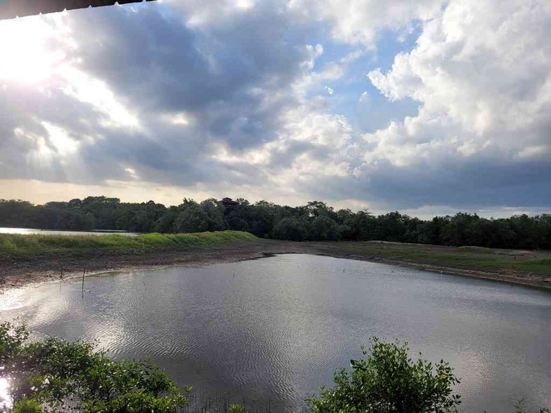 sungei-buloh-wetland-reserve-37.jpg