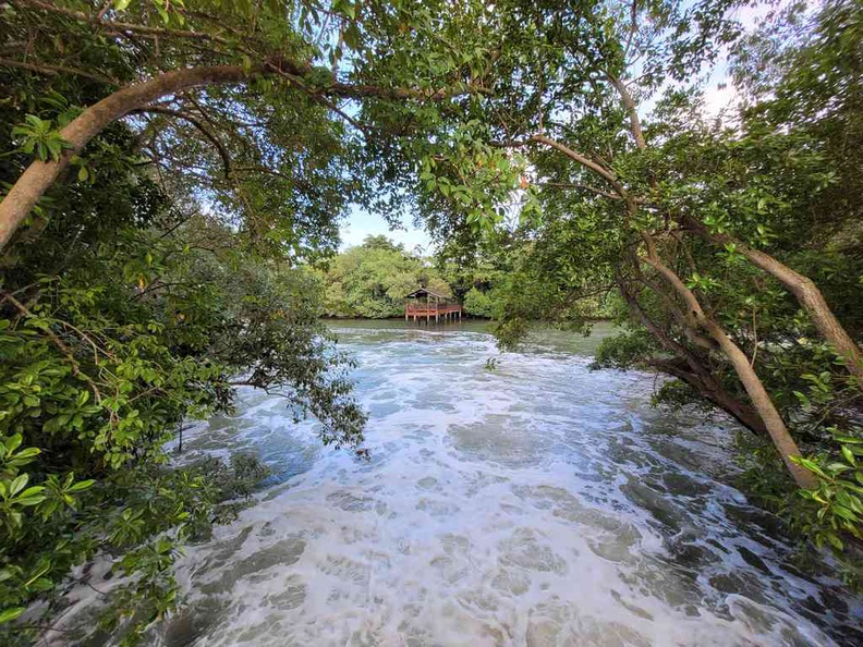 sungei-buloh-wetland-reserve-36