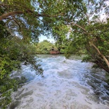 sungei-buloh-wetland-reserve-36