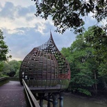 sungei-buloh-wetland-reserve-44