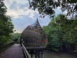 sungei-buloh-wetland-reserve-44