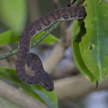 sungei-buloh-wetland-reserve-53