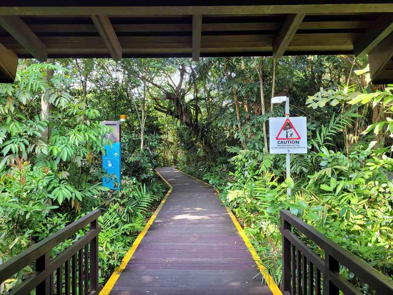 sungei-buloh-wetland-reserve-07