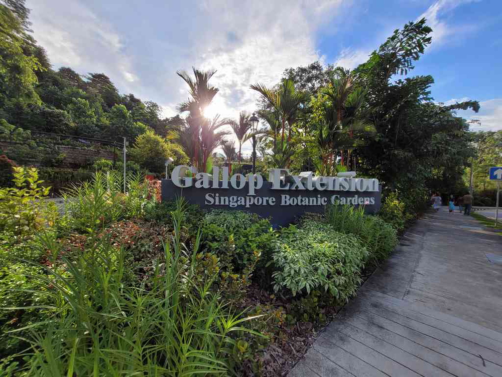 botanical-gardens-gallop-extension-37