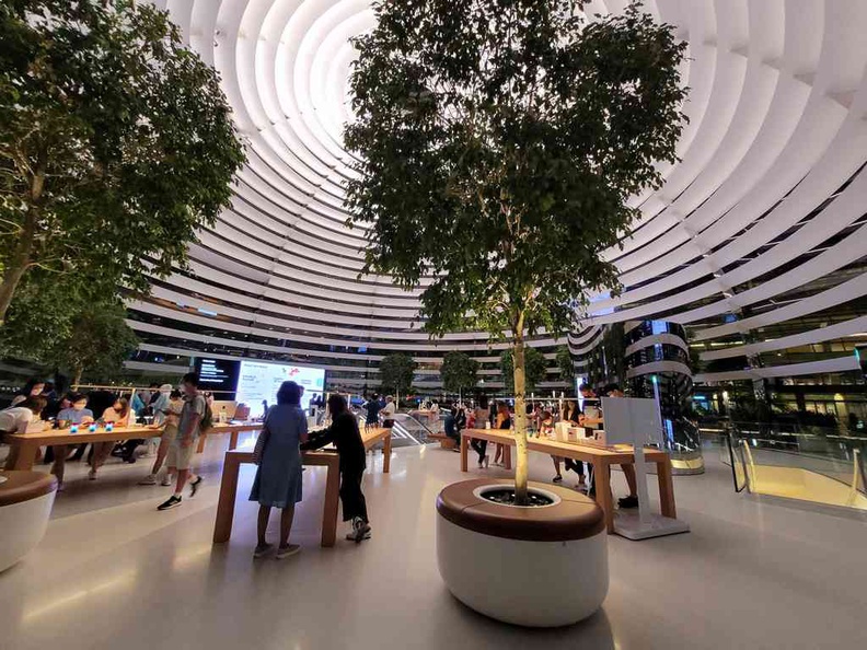 mbs-apple-store-19