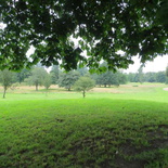 london-hyde-park-19