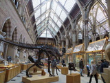 oxford-natural-history-museum-04