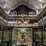 oxford-natural-history-museum-06
