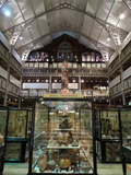 oxford-natural-history-museum-06
