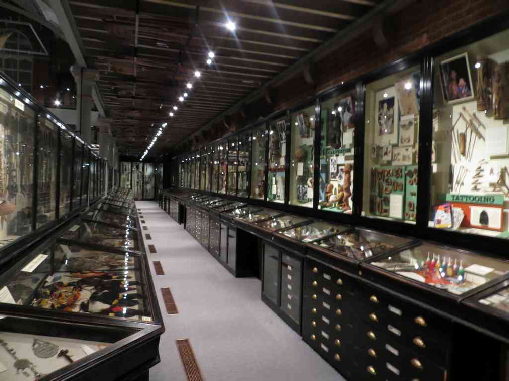 oxford-natural-history-museum-08