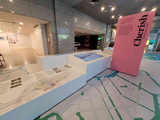 ura-long-term-plan-exhibition-15