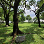jurong-hill-park-23